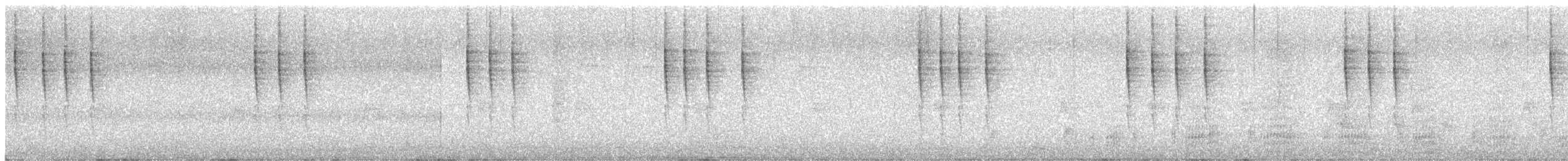 Troglodyte de Baird - ML74296471