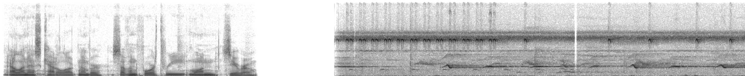 Conopophage à oreilles blanches - ML74310