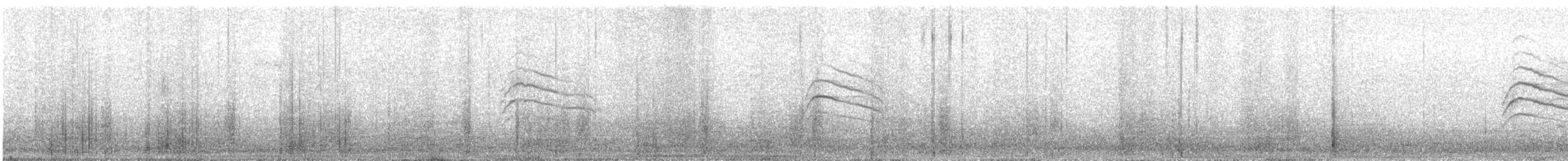 Gobemoucheron de Californie - ML74310921