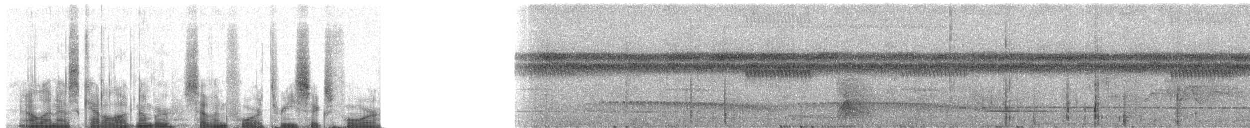 Rostbrust-Mückenfresser - ML74364