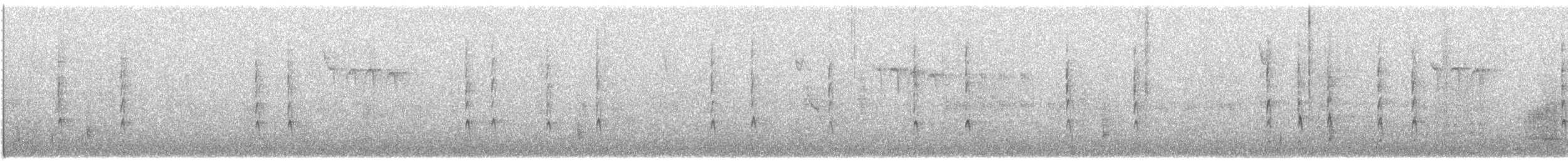 Winter Wren - ML74376731