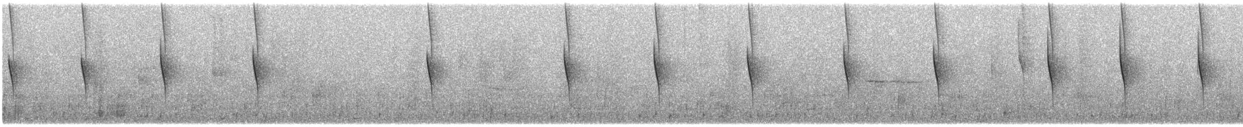 Rivoli's Hummingbird - ML74378231