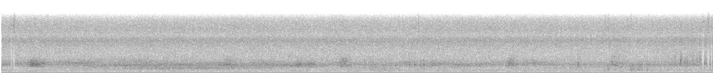 Малая морская чернеть - ML74426921
