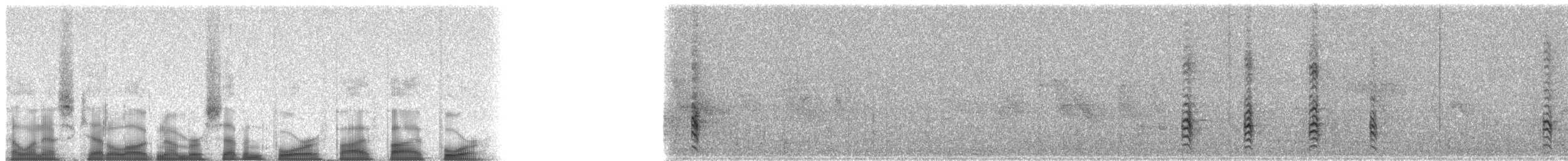 Reunion Bulbul - ML74554