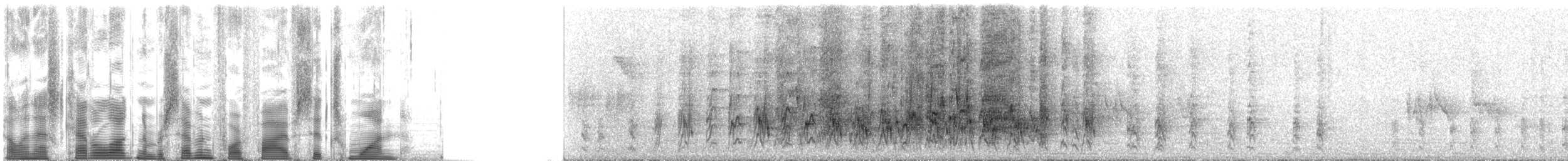 Reunion Bulbul - ML74561