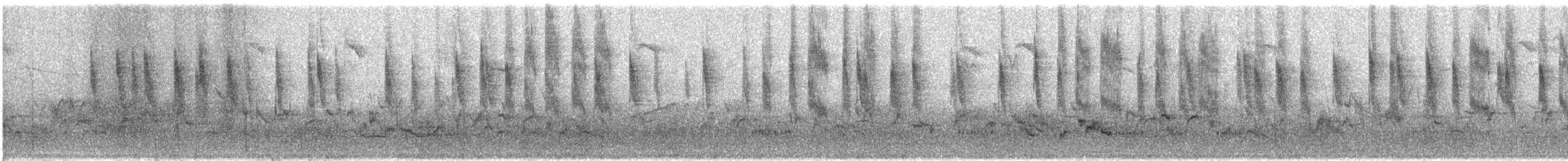 Yellow Thornbill - ML74562291