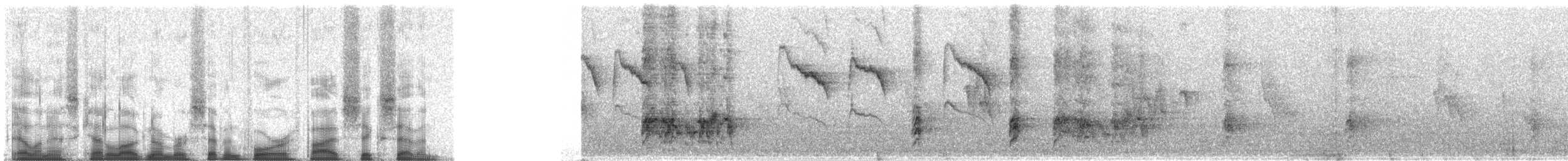 Reunion Bulbul - ML74567