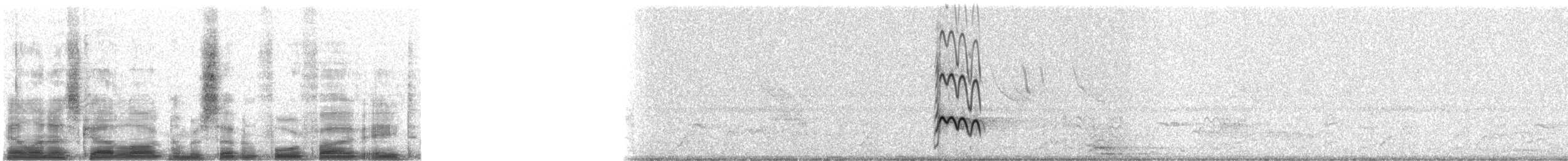 Starkschnabel-Maskentyrann (pitangua) - ML7458