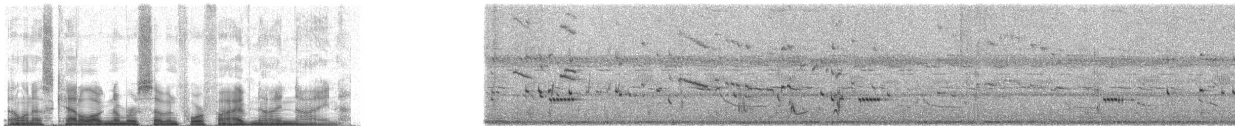 チャイロヤブチメドリ - ML74599