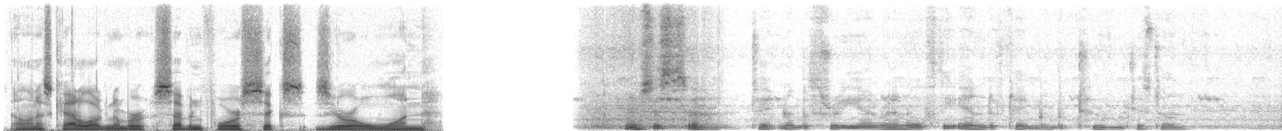 Sombre Nightjar - ML74601