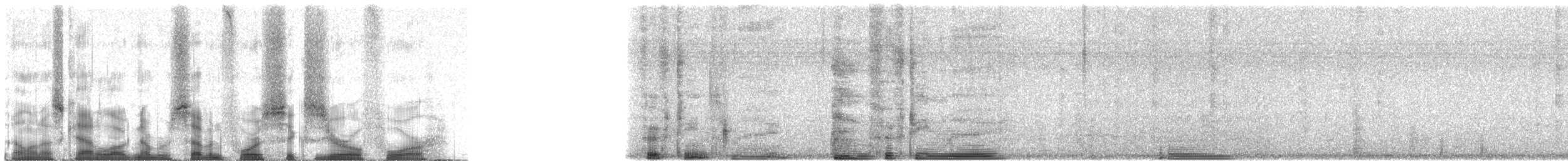 Sombre Nightjar - ML74604