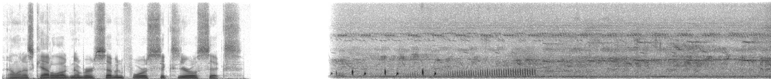 Sombre Nightjar - ML74606