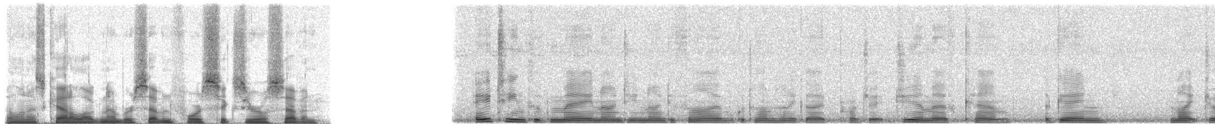 Sombre Nightjar - ML74607