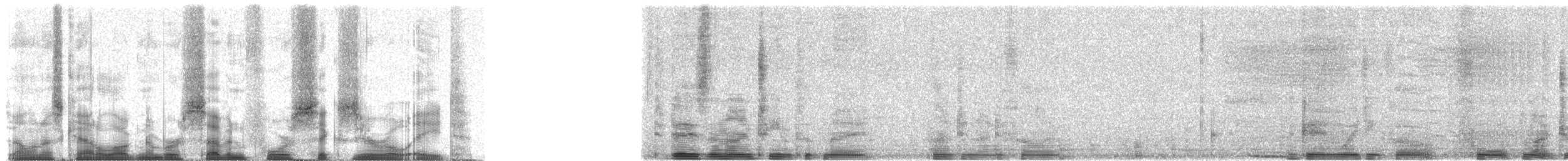 Sombre Nightjar - ML74608