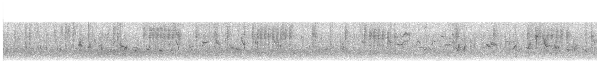 pěnice pokřovní (ssp. curruca/blythi/halimodendri) - ML74628551