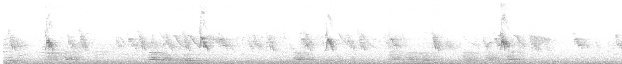 Оронгийн бор шувуу - ML74634741