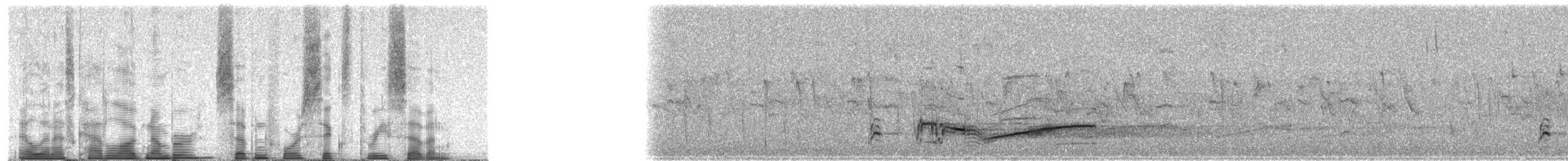 Reunion Bulbul - ML74637