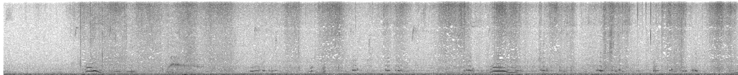 Cygne siffleur - ML74651781