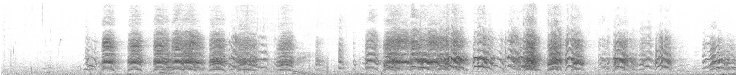 arara patagonský (ssp. andinus) - ML74684761