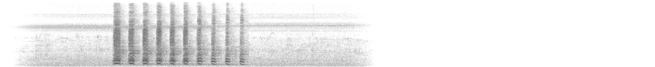Marzaiola americana - ML74691001