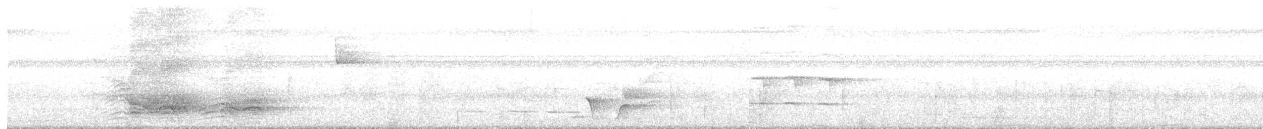 Spotted Catbird - ML74702041