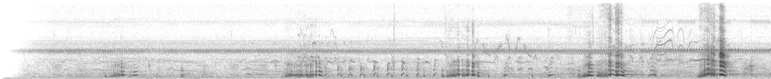 Amerikateichhuhn - ML74738841