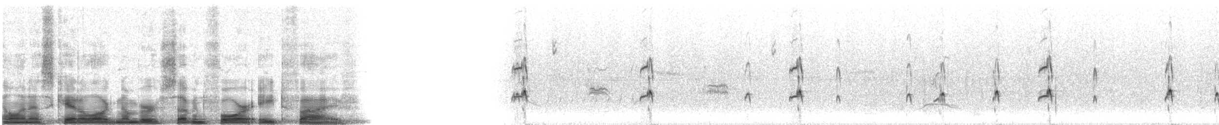 Пепельногорлый миарх - ML7485