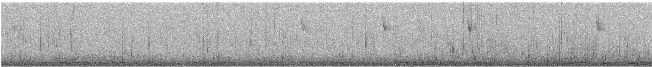 Cygne siffleur - ML74866921