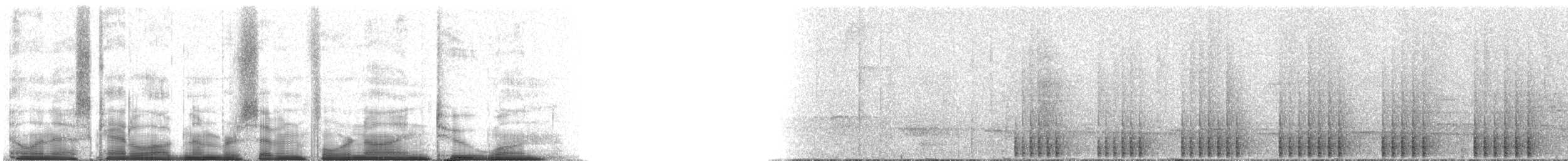 woodpecker sp. - ML74921