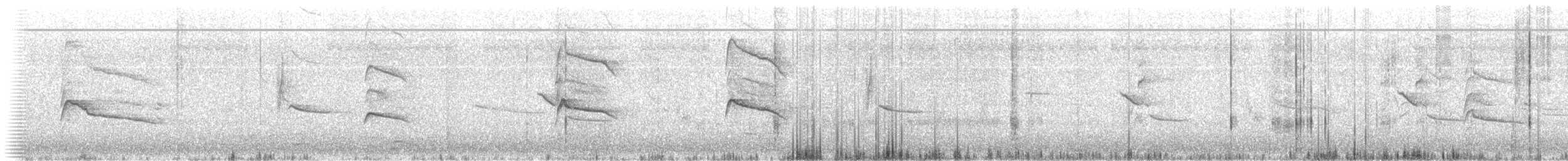 Rundschwanzhabicht - ML74931641