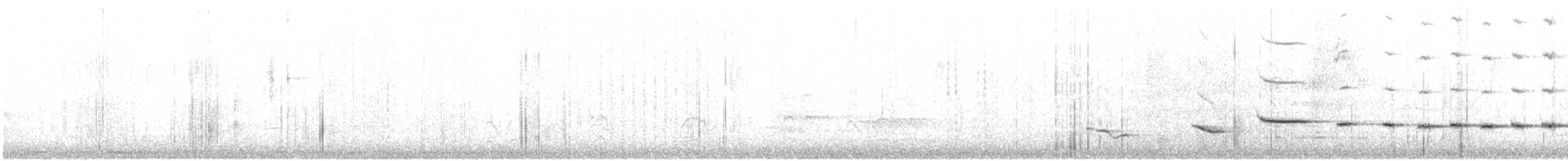 Oriole à gros bec - ML74992101