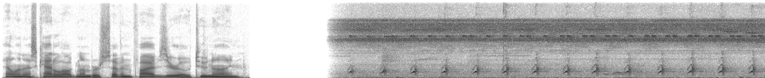 ミナミキバシミドリチュウハシ（atrogularis／dimidiatus） - ML75029