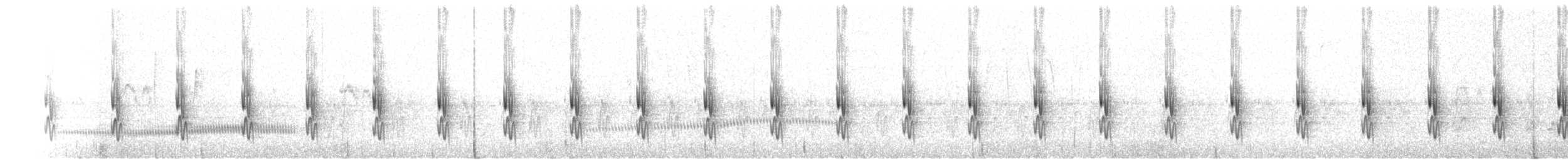 Jalca Tapaculo - ML75054531