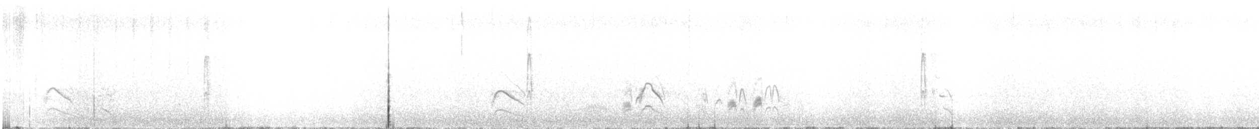 Серогрудый тиранн - ML75067491