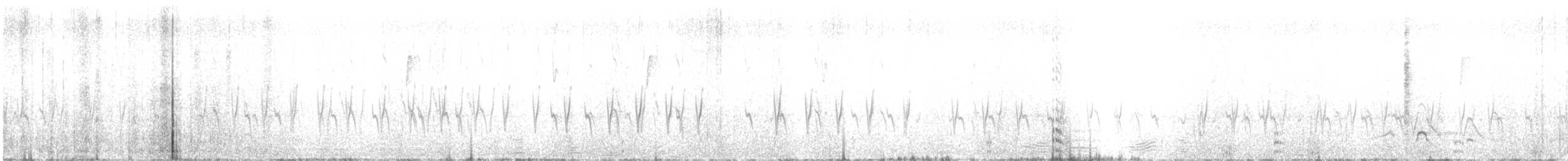 Bec-croisé des sapins (type 4) - ML75068861