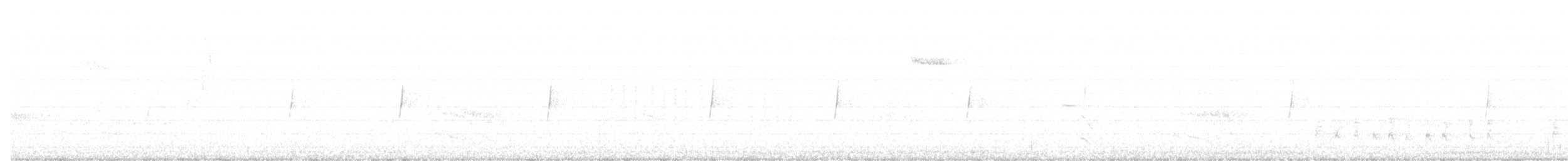 ネズミメジロハエトリ - ML75312931