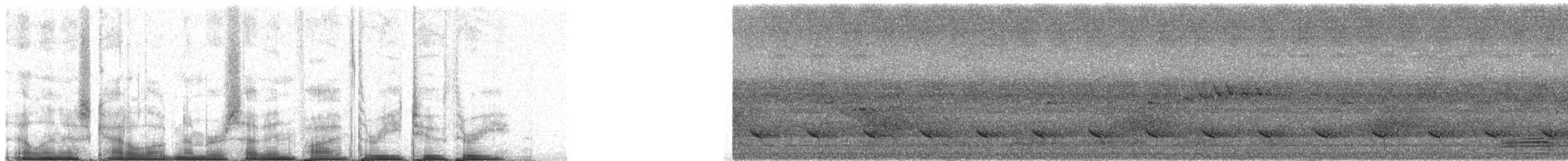 Длинноклювая куропатка - ML75323
