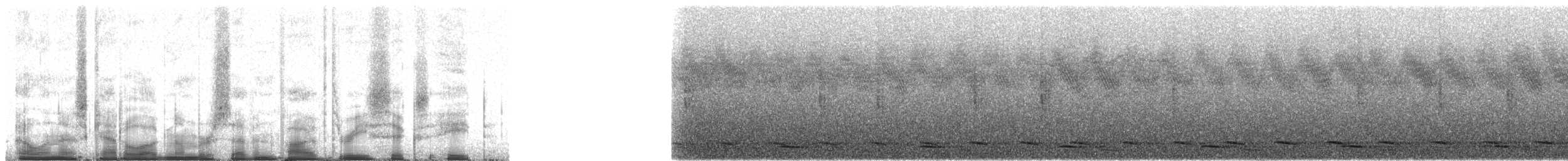 Борнейская лесная куропатка - ML75368