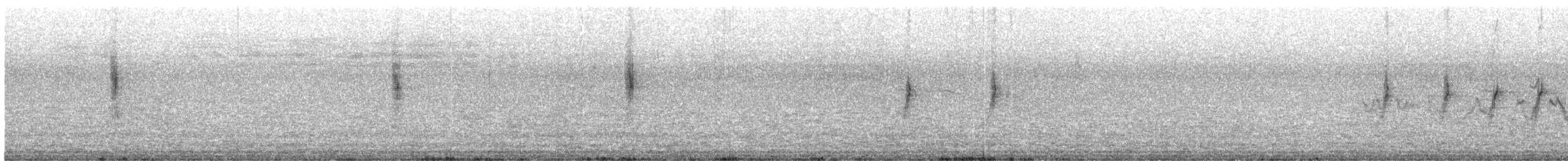 Tawny Grassbird - ML75409981