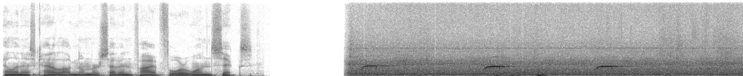 Серогрудый трогон - ML75416