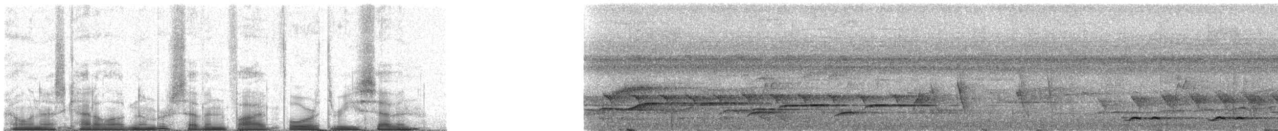 Rotscheitel-Zweigdrossling - ML75437