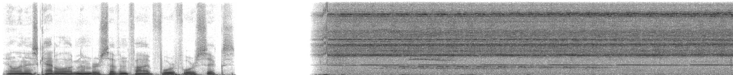Trogon de Diard - ML75446
