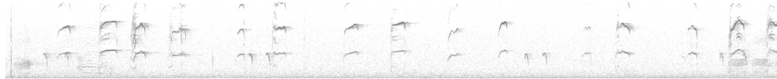 strakapoud bělohlavý - ML75446761