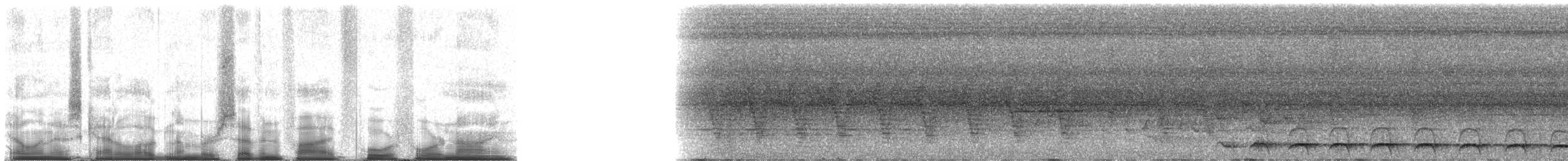 Diard Trogonu - ML75449