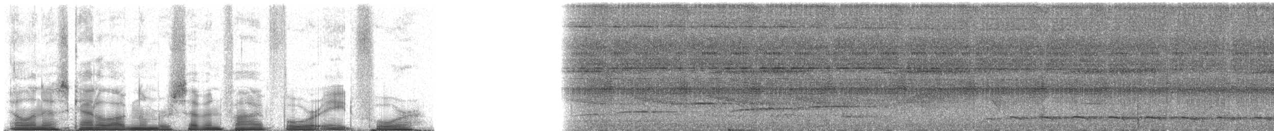 Trogón de Diard - ML75484