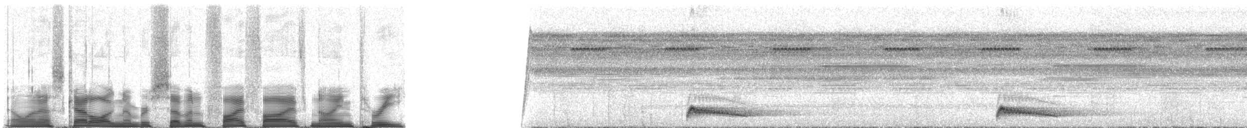 Augennachtschwalbe - ML75593