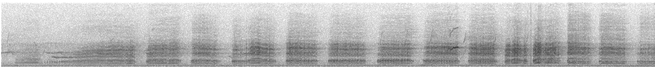 Channel-billed Cuckoo - ML75695471