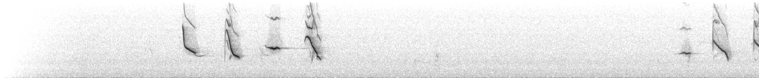 White-rimmed Brushfinch - ML75702281