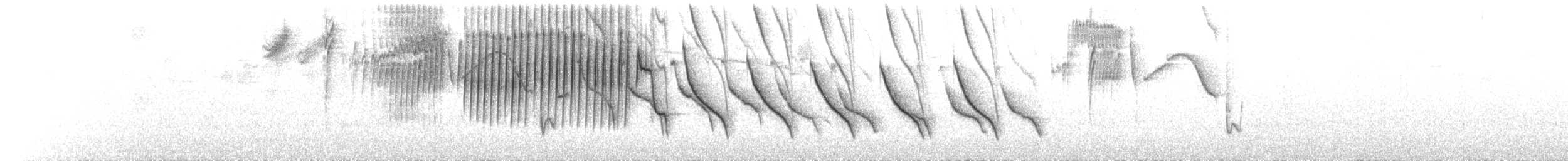 Peruvian Slaty Brushfinch - ML75703481