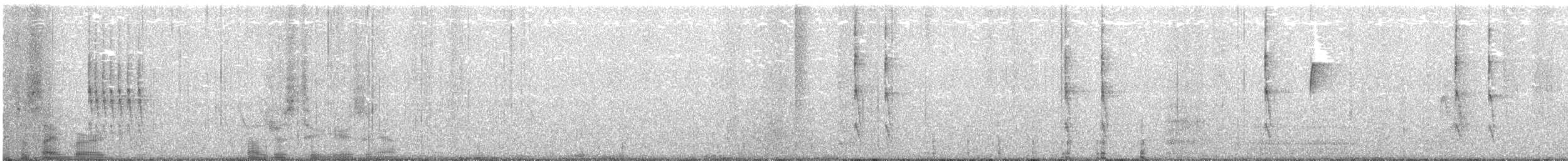 Troglodyte de Baird - ML75724961